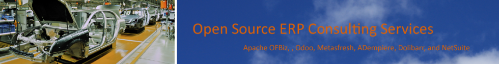 A Banner of Open Source ERP Consulting Services page | Apache OFBiz, Odoo, Metasfresh, ADempiere, Dolibarr, and NetSuite | EDO Solutions